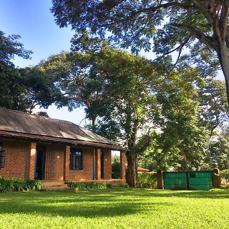 Mulanje Africawildtruck Eco Camp & Lodge מראה חיצוני תמונה
